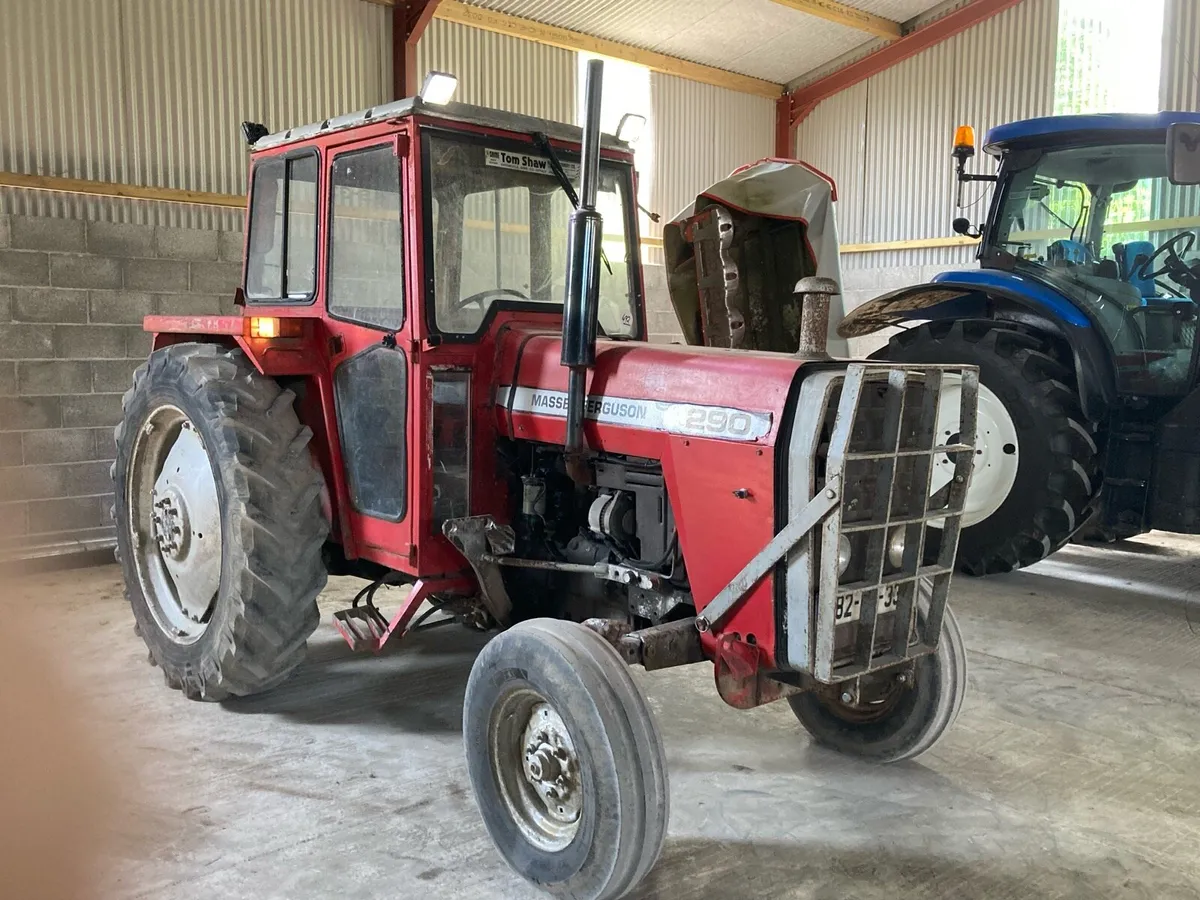 Massey Ferguson 290 - Image 2