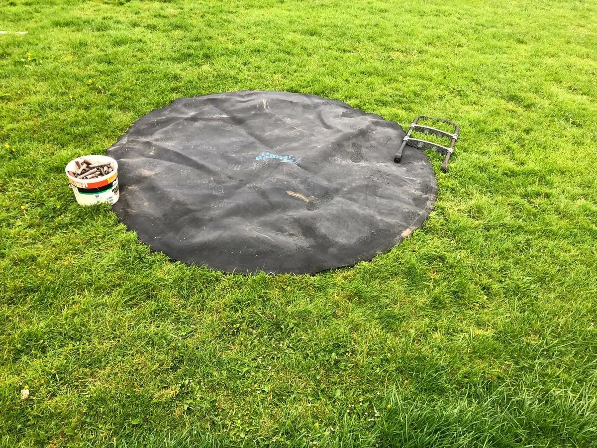 Trampoline mat and springs and ladder - Image 1