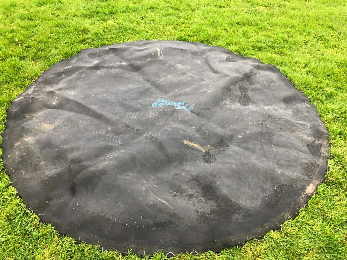 Trampoline mat and springs and ladder - Image 3