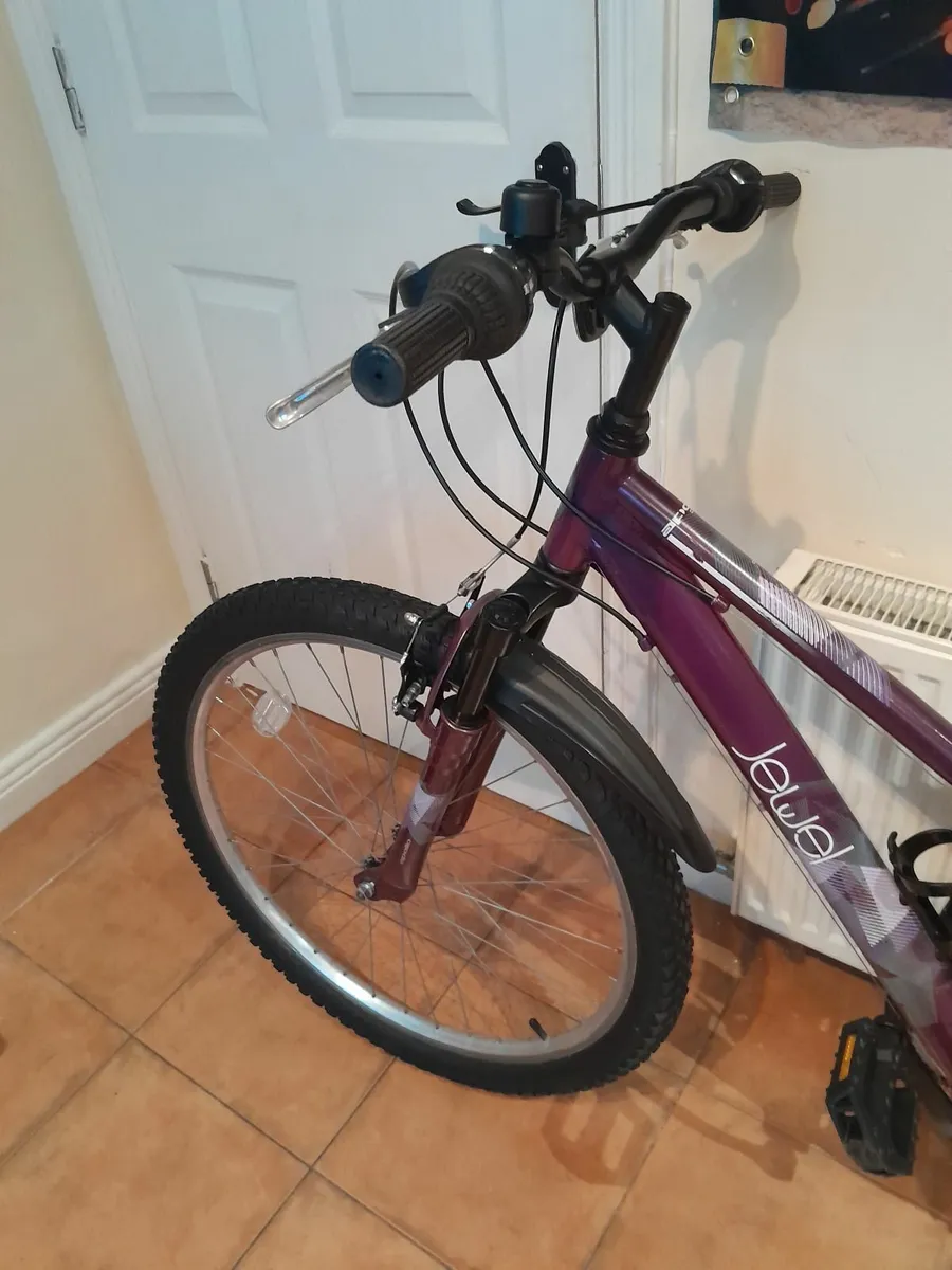 Bicycle - Image 2