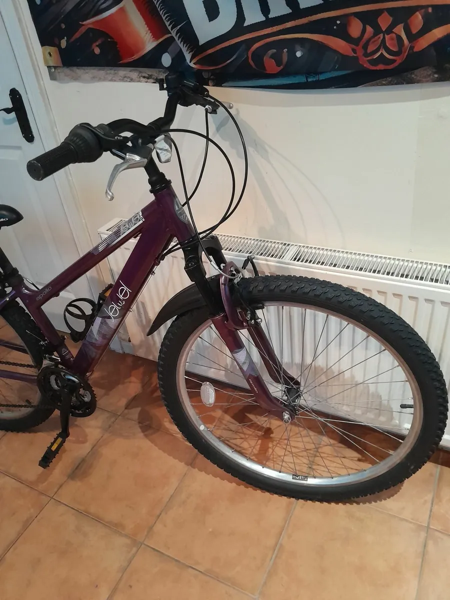 Bicycle - Image 4
