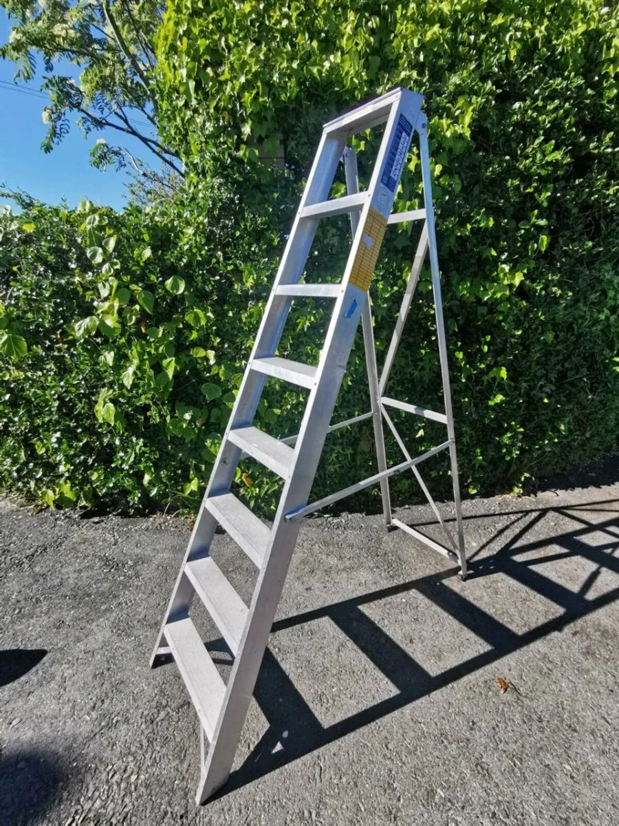 Ramsay Swingback 8 Rung Step Ladder - Image 1