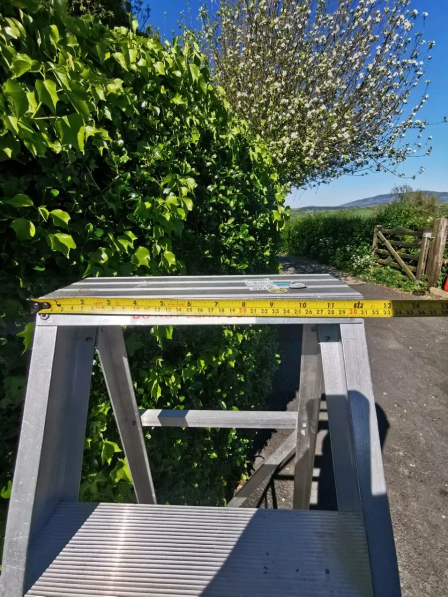 Ramsay Swingback 8 Rung Step Ladder - Image 4