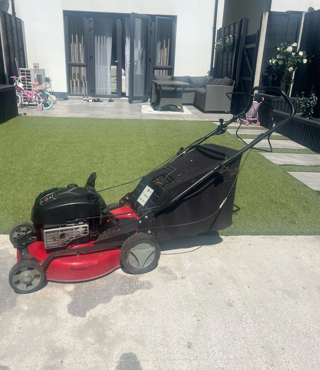 The grass cutter - Image 1