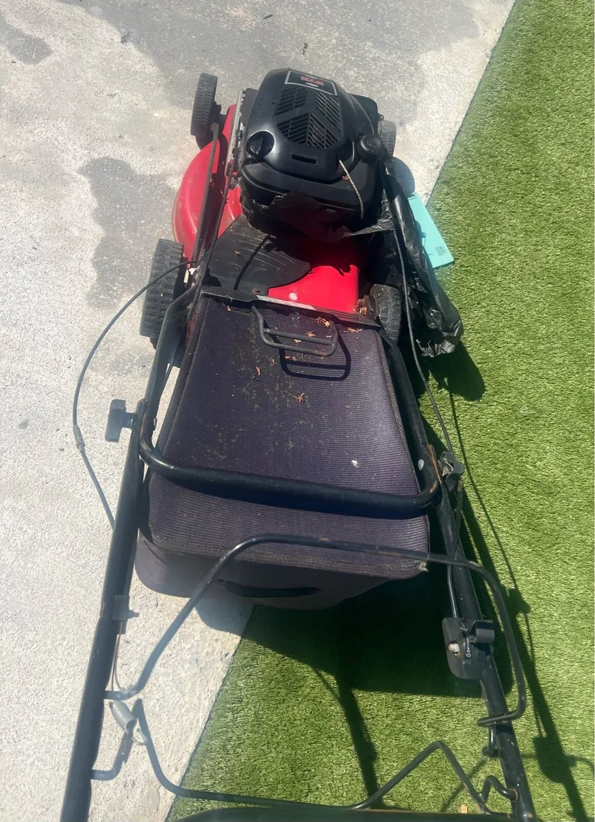 The grass cutter - Image 2