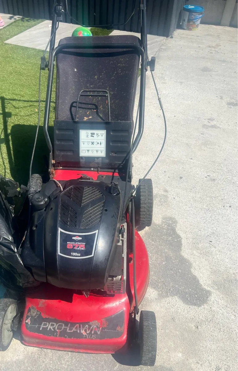 The grass cutter - Image 3