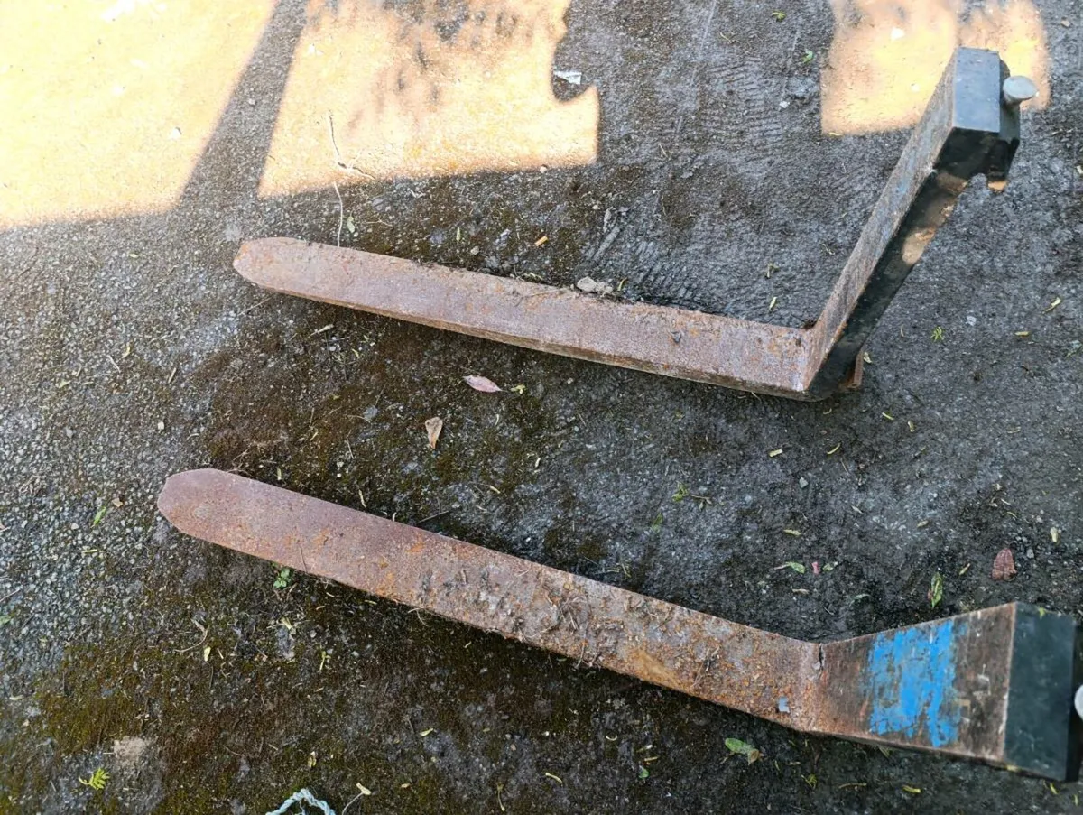 forklift forks - Image 3