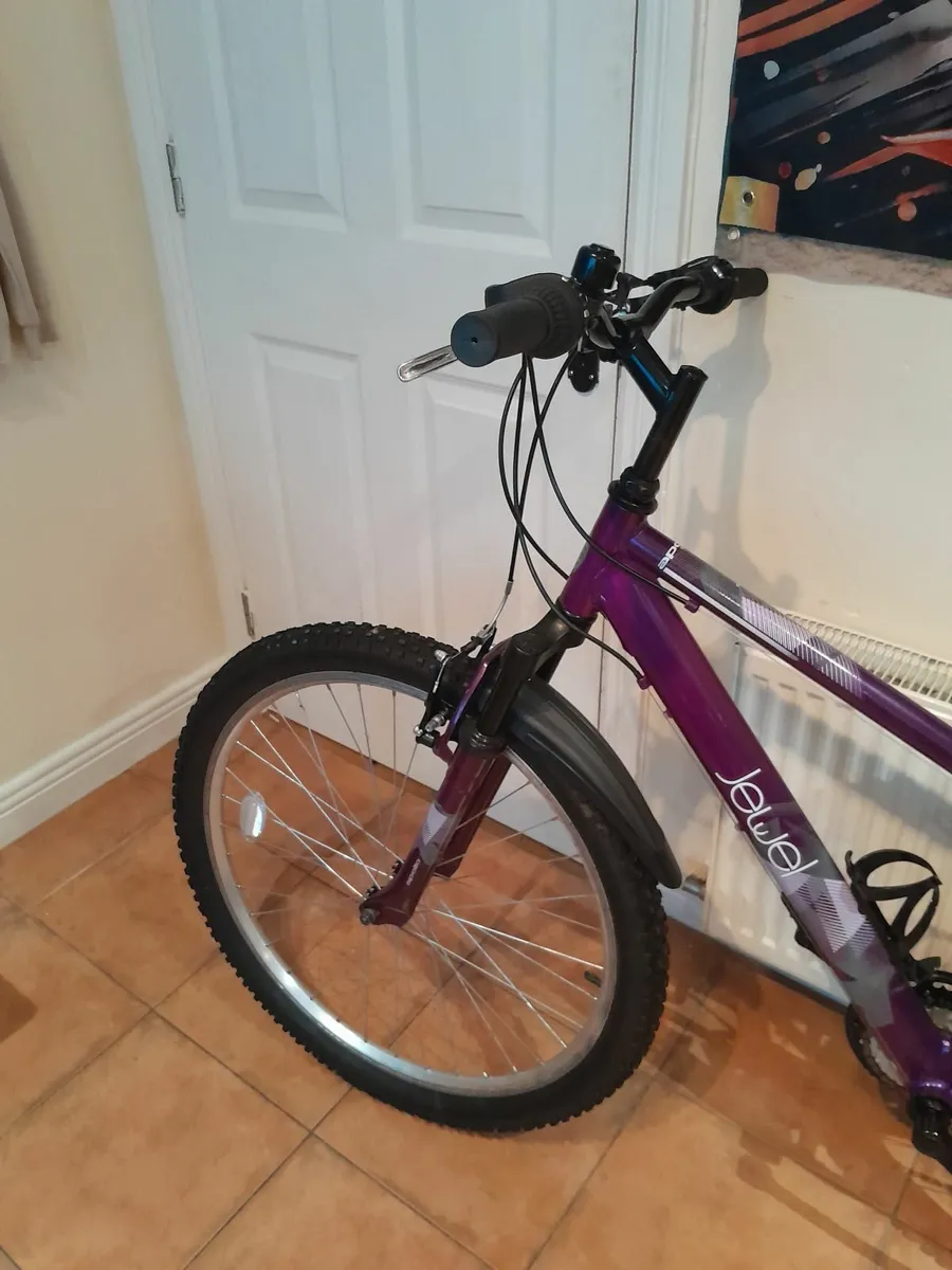 Bicycle - Image 4