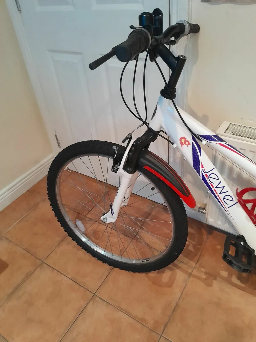Bicycle - Image 2