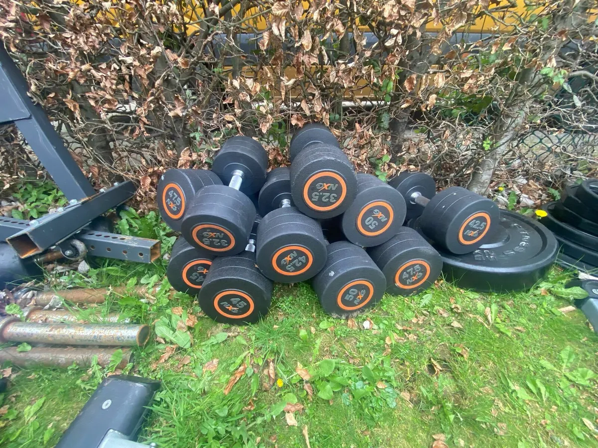 DUMBELLS & PLATES - Image 1