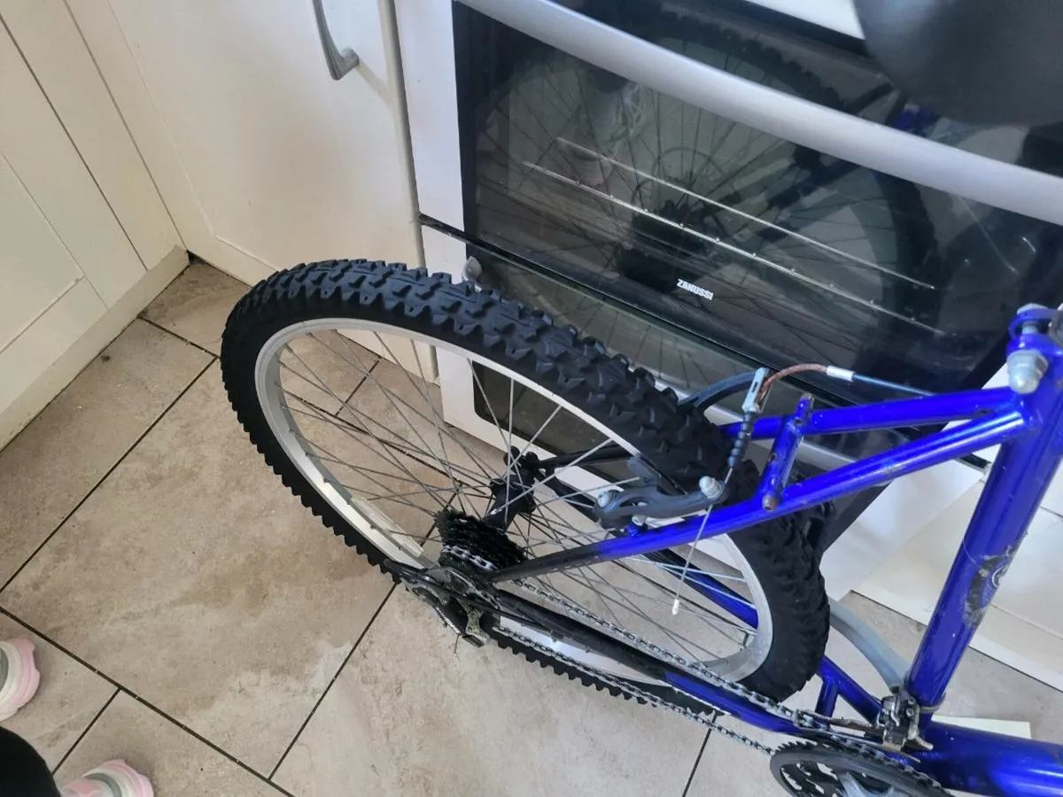 Bike Large mountain bike - Image 4