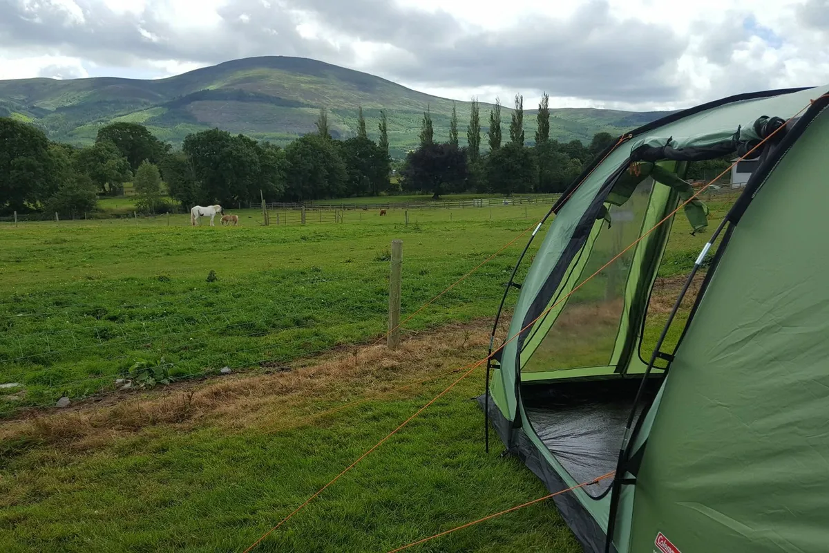 COLEMAN Mosedale 5 – 5 person Family Tent - Image 3