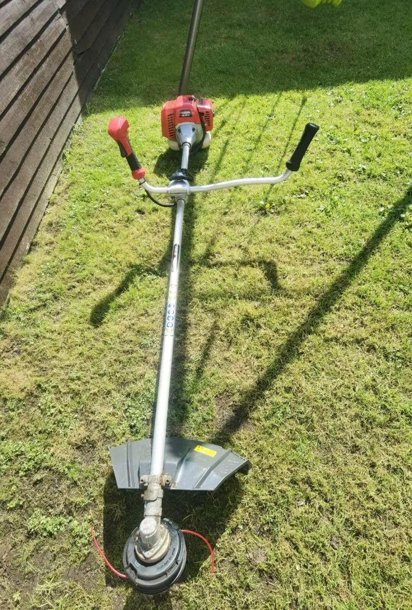 Strimmer Castelgarden - Image 1
