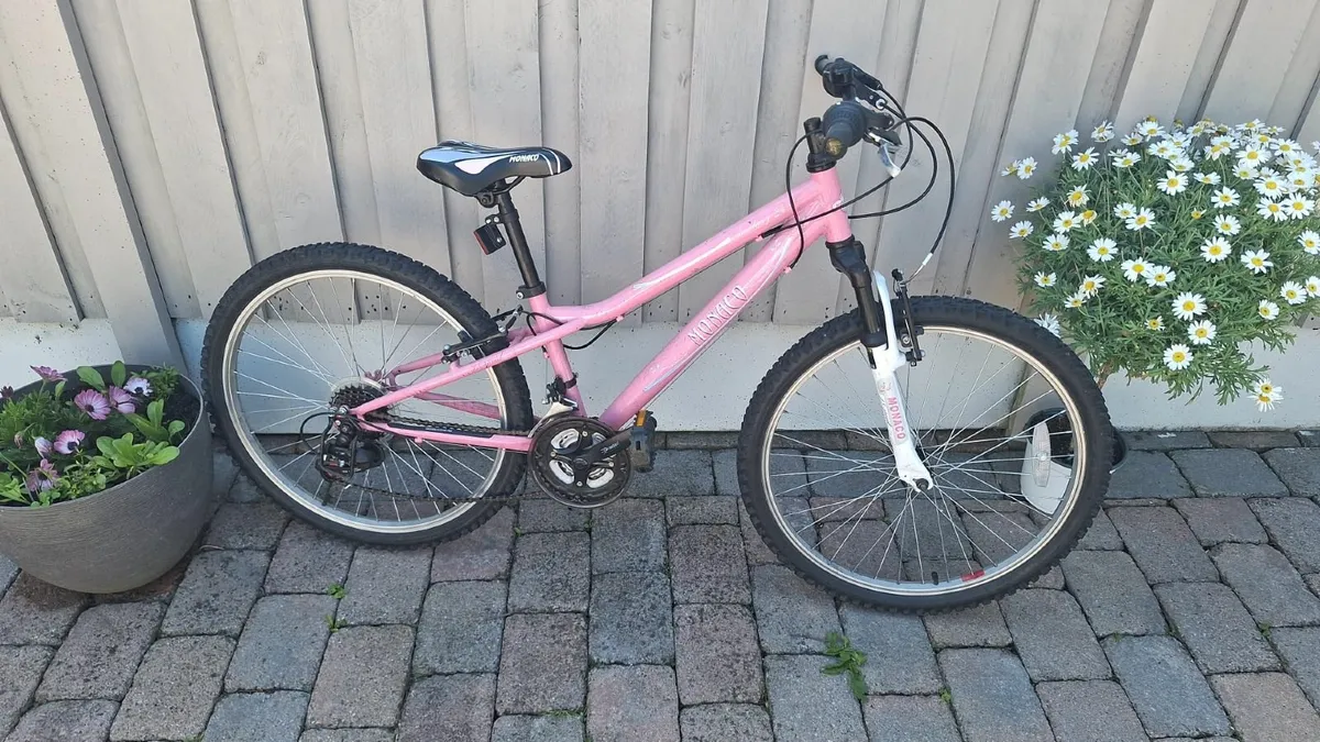 Excellent condition 24inch boys and girls bike - Image 1