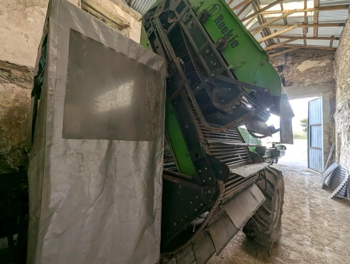 Reekie Dominant 3000 potato spud harvester - Image 3