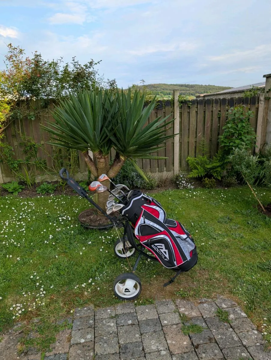 Adult Golf clubs,brand new bag, trolley - Image 1
