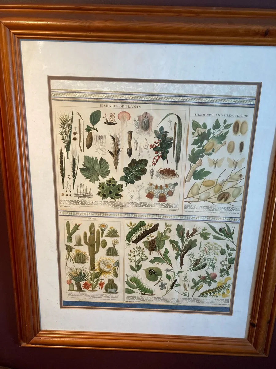 Antiques