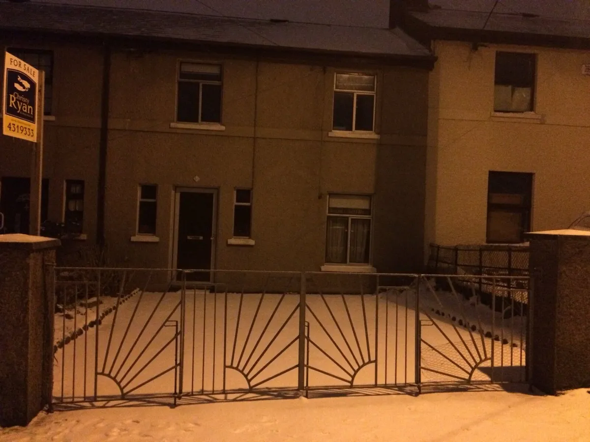Gates: Solid iron galvanised - Image 1