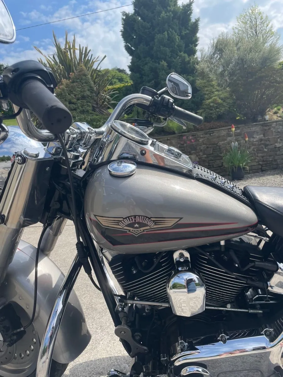 Harley Davidson - Image 2