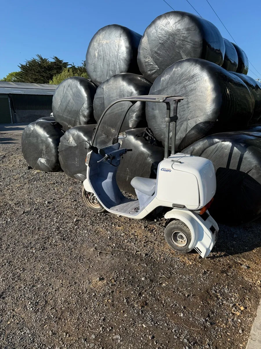 Honda gyro - Image 4