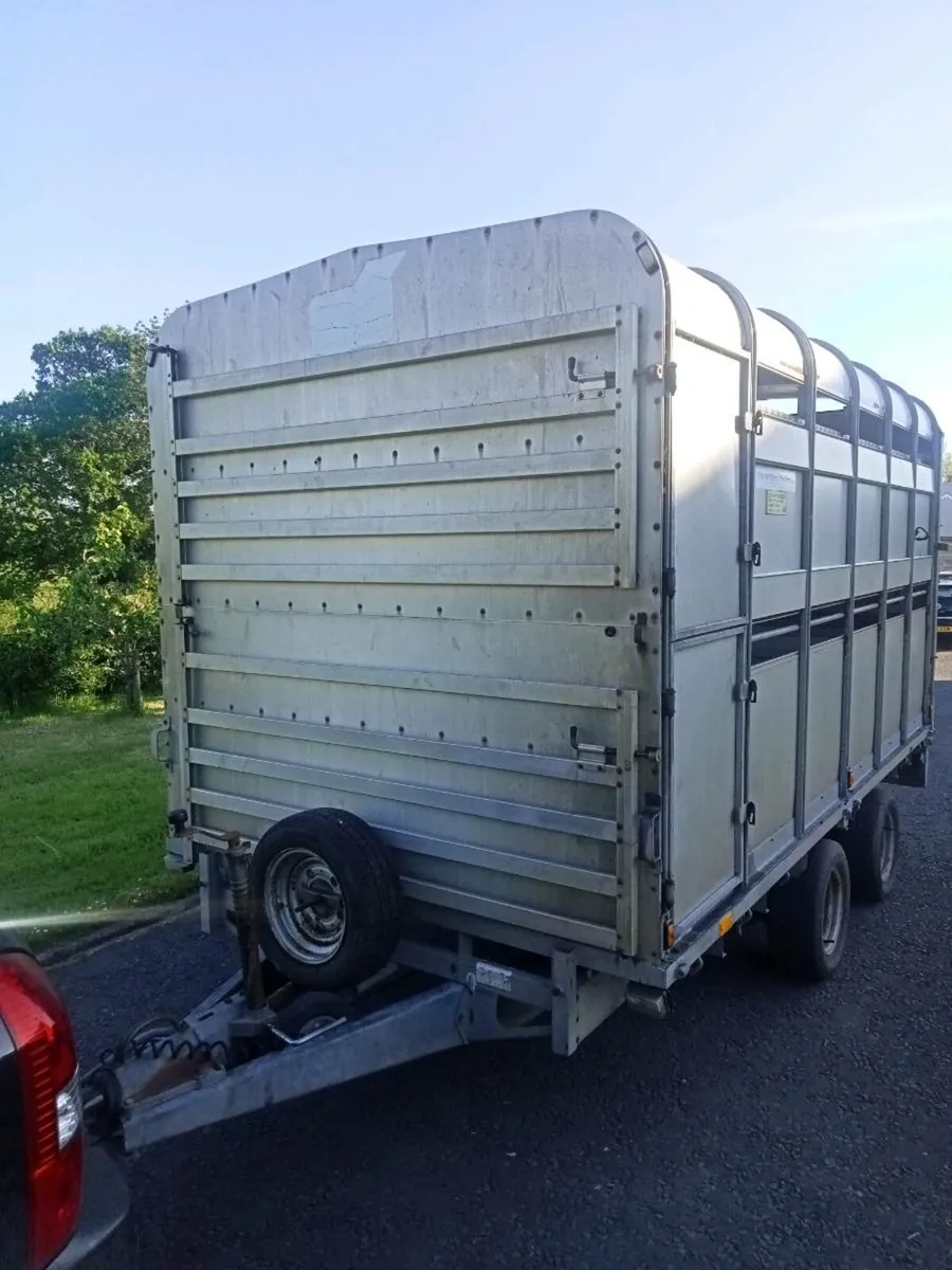Ifor Williams cattle trailer - Image 1