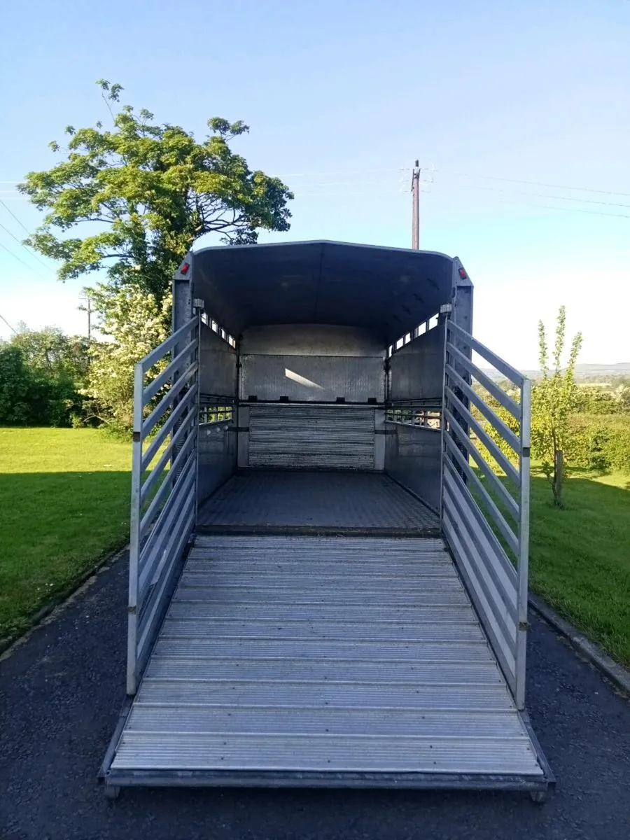 Ifor Williams cattle trailer - Image 3