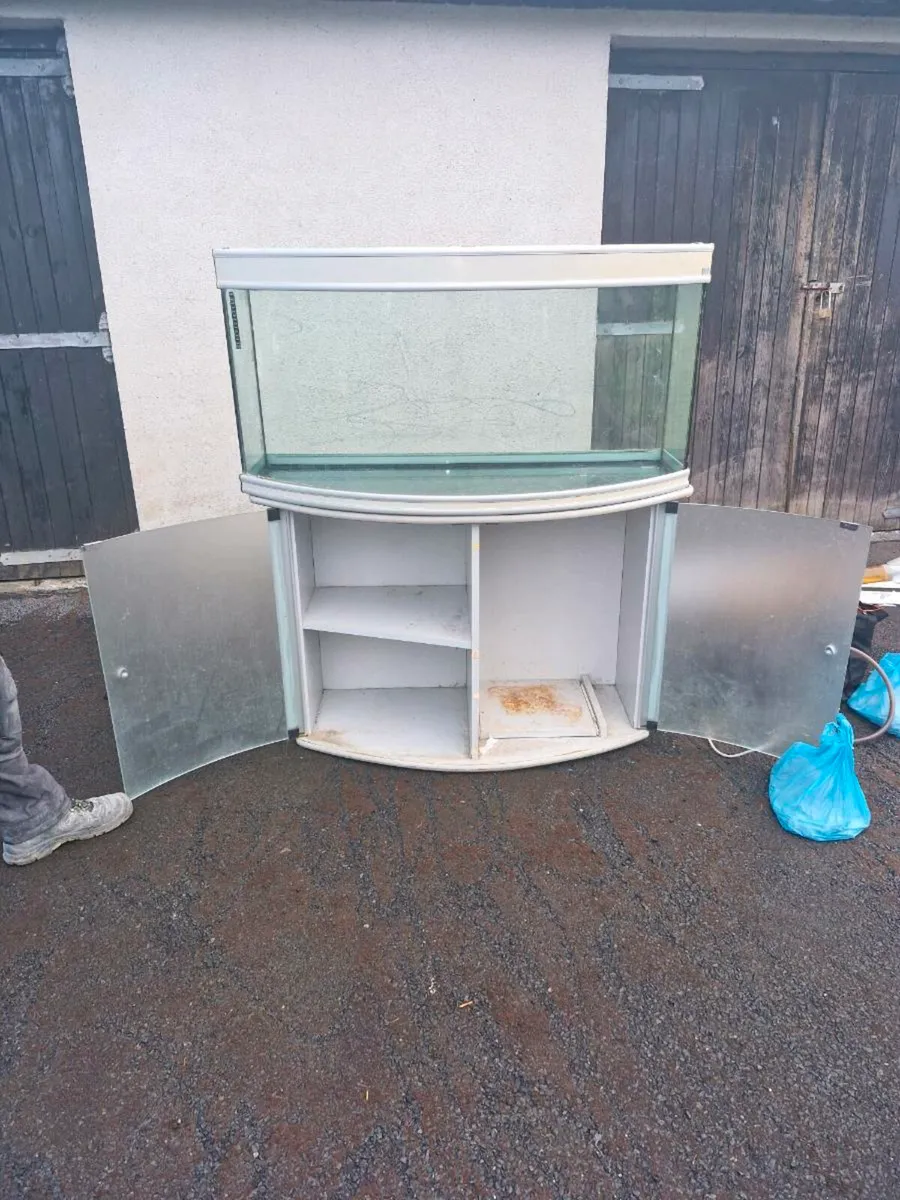 FISH AQUARIUM - Image 2
