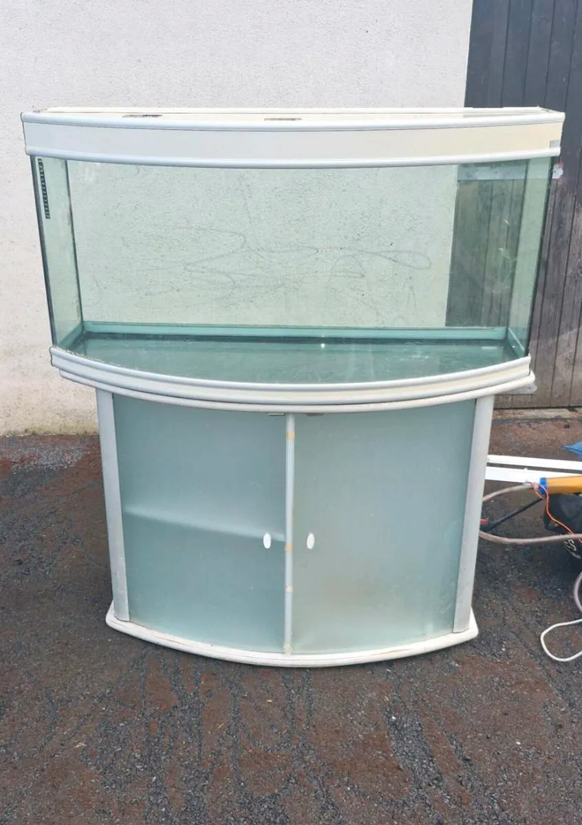 FISH AQUARIUM - Image 3