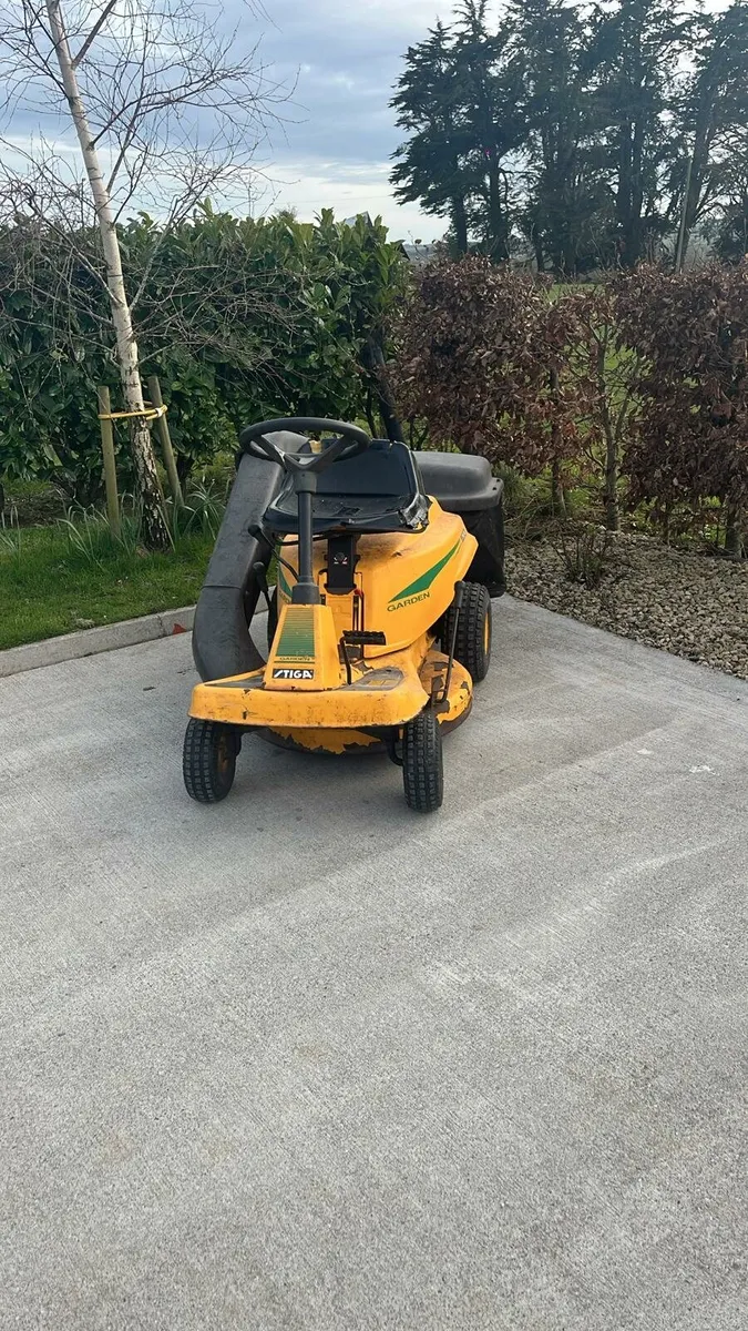 Lawn mower - Image 1