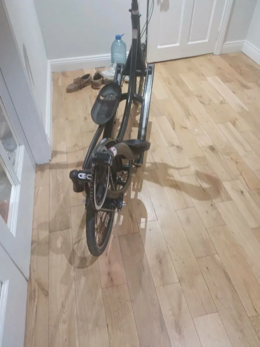 Bicycle elliptigo - Image 4