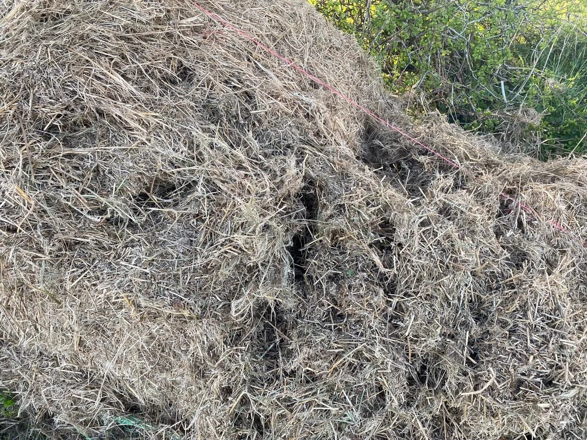Baled Mulched Rushes - Image 4