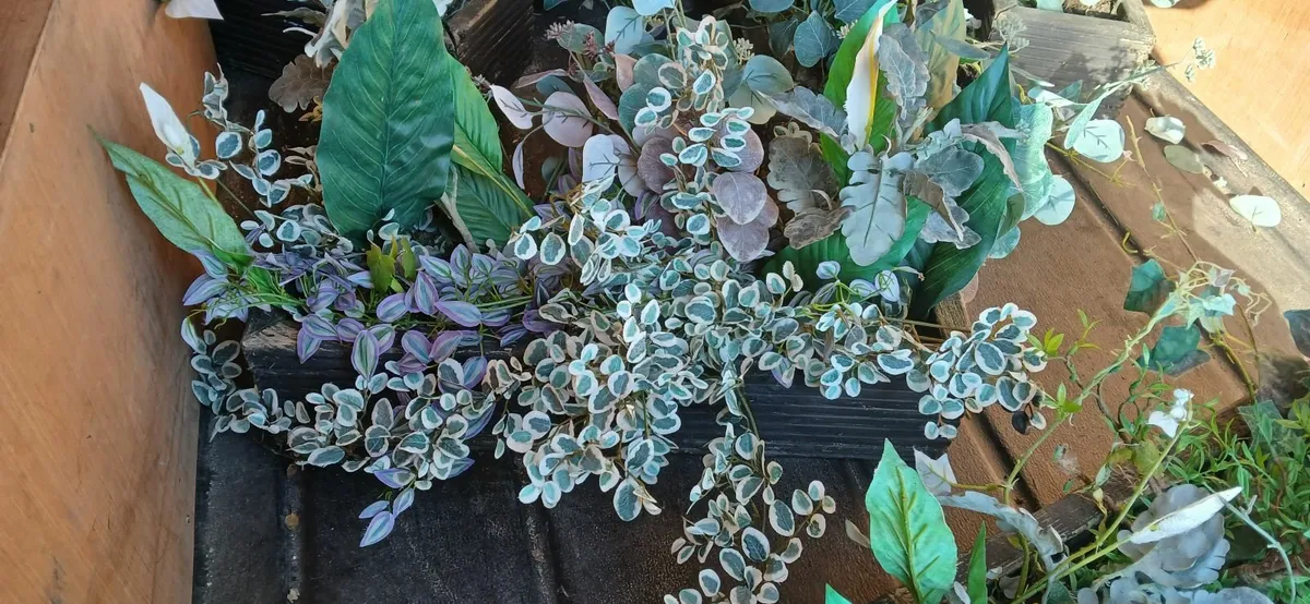 Garden decoration - Image 2
