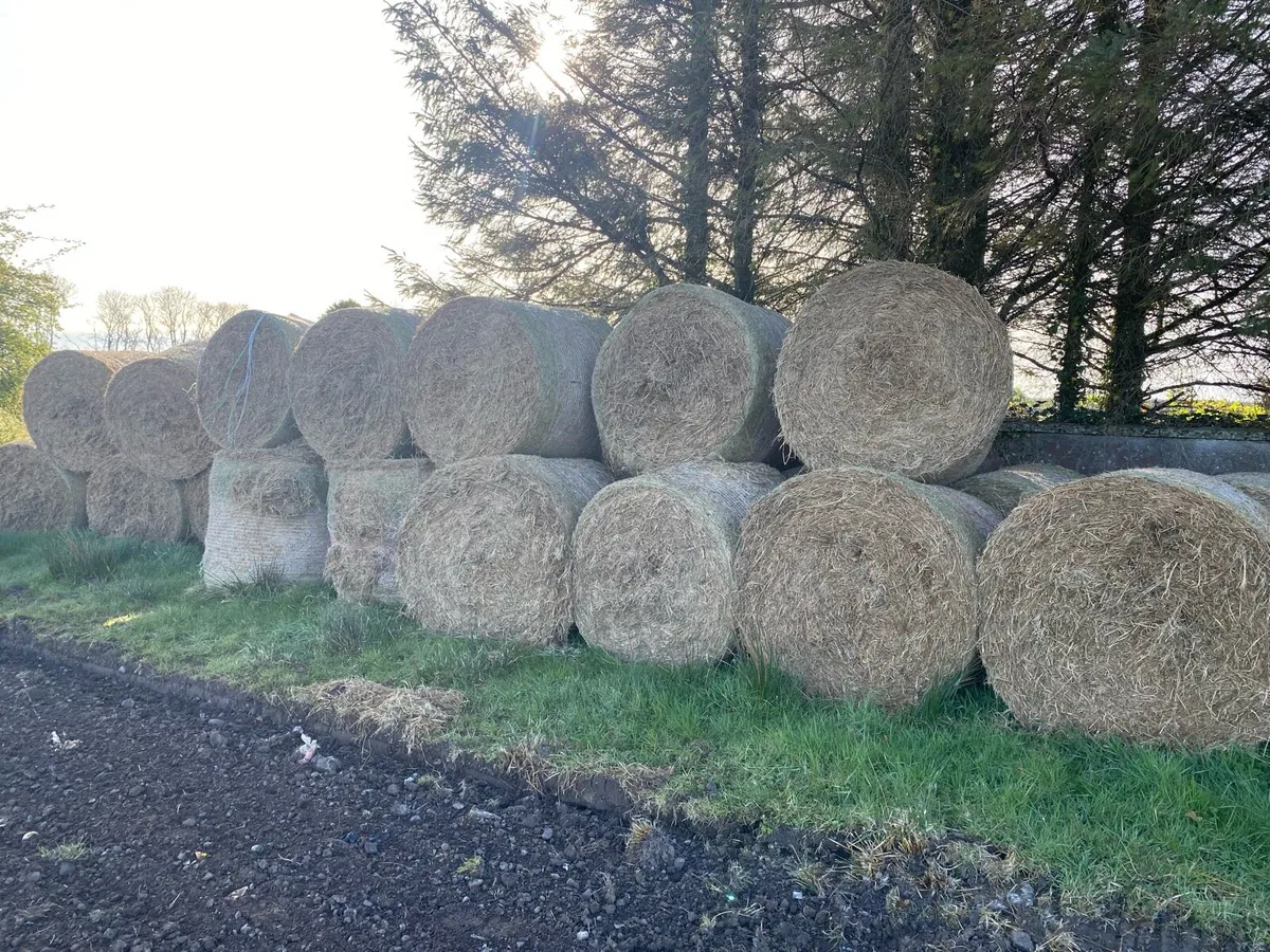 Baled Mulched Rushes - Image 1