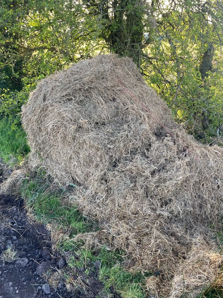 Baled Mulched Rushes - Image 2