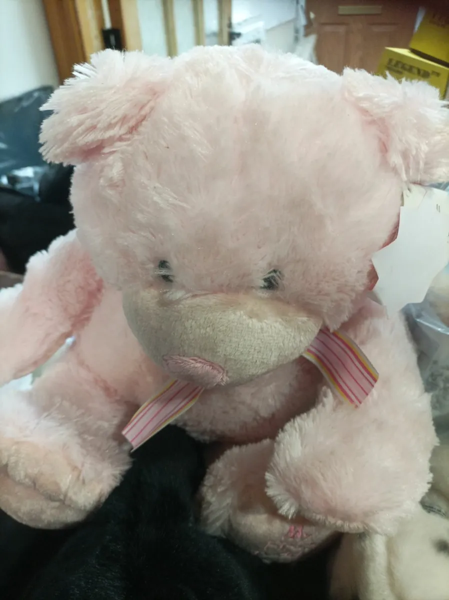 Soft Teddies - Image 3