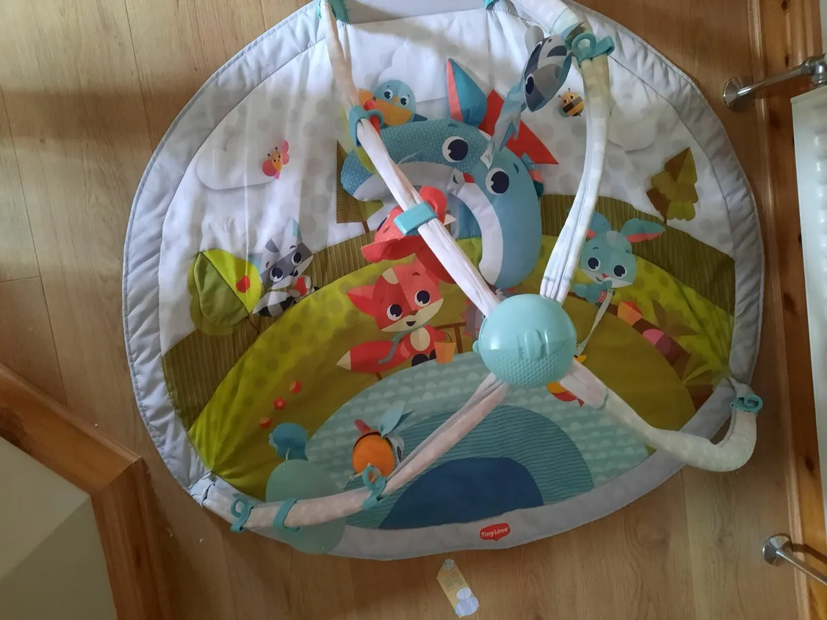 Baby Play Mat - Image 1