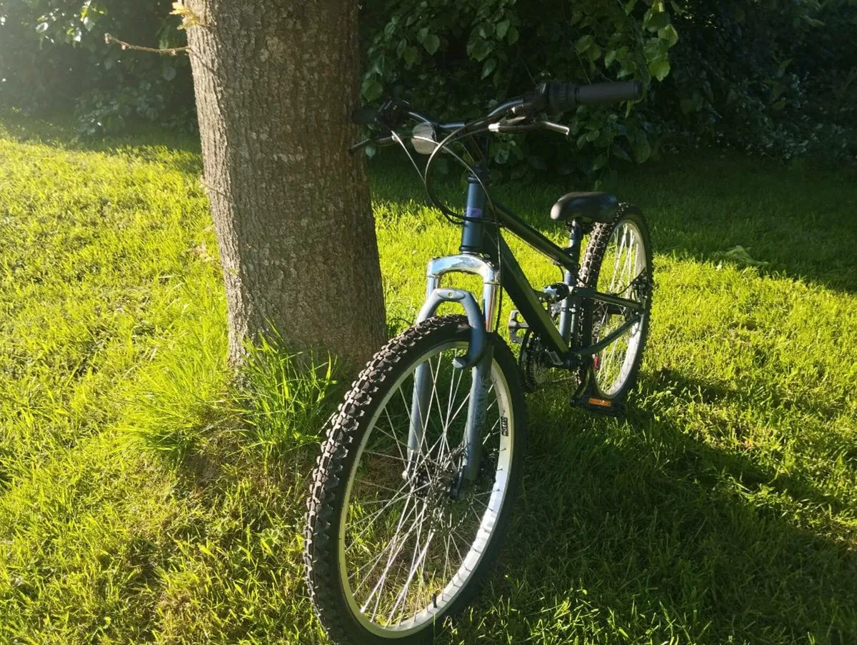Apollo Tropic Kids Bike - Image 1
