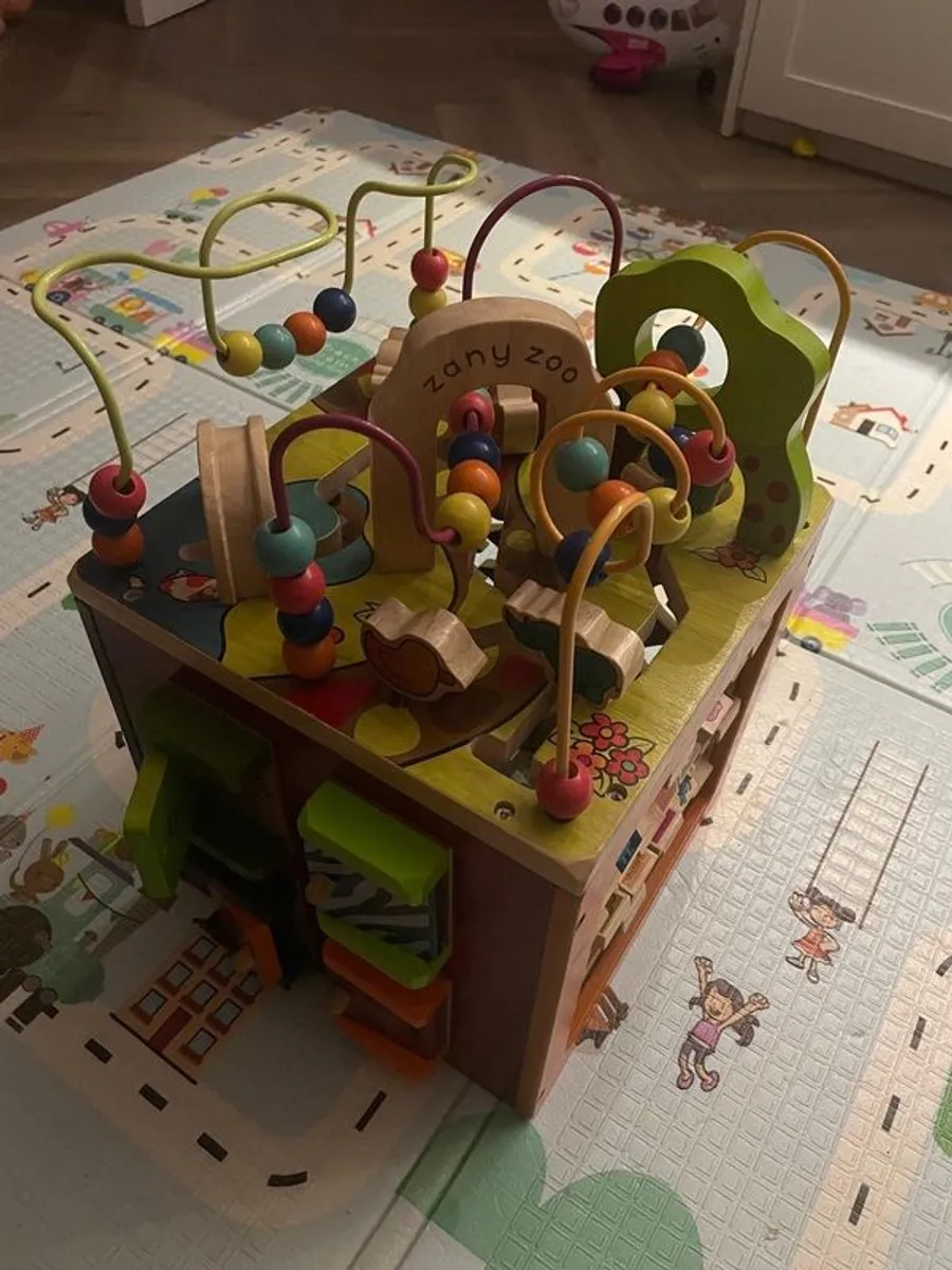 Zany zoo activity cube