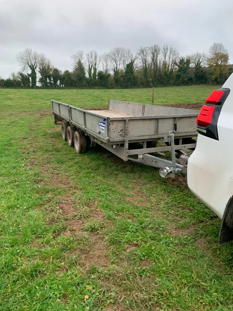 18ft  ifor Williams trailer - Image 3