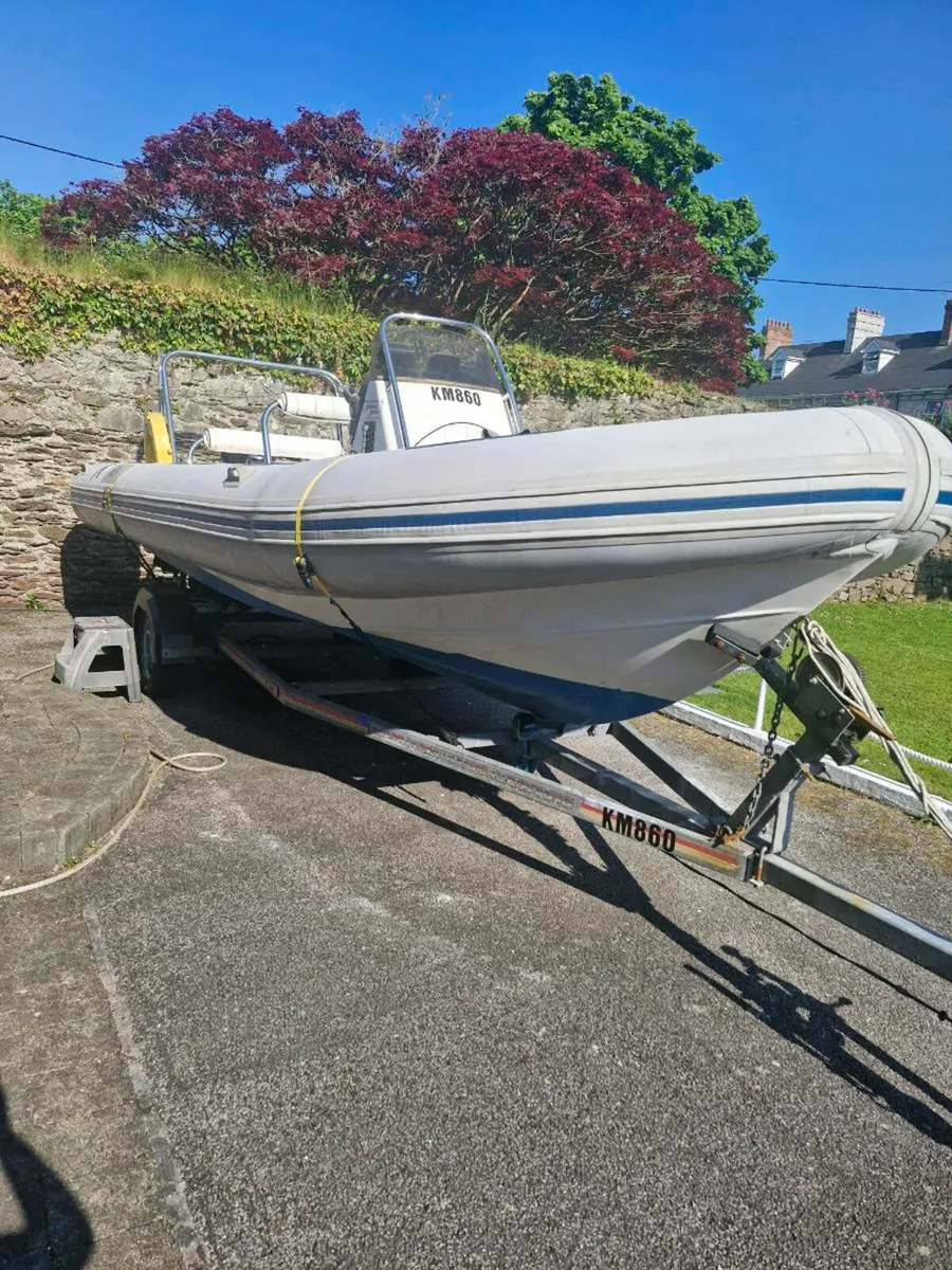 Rib - Image 1