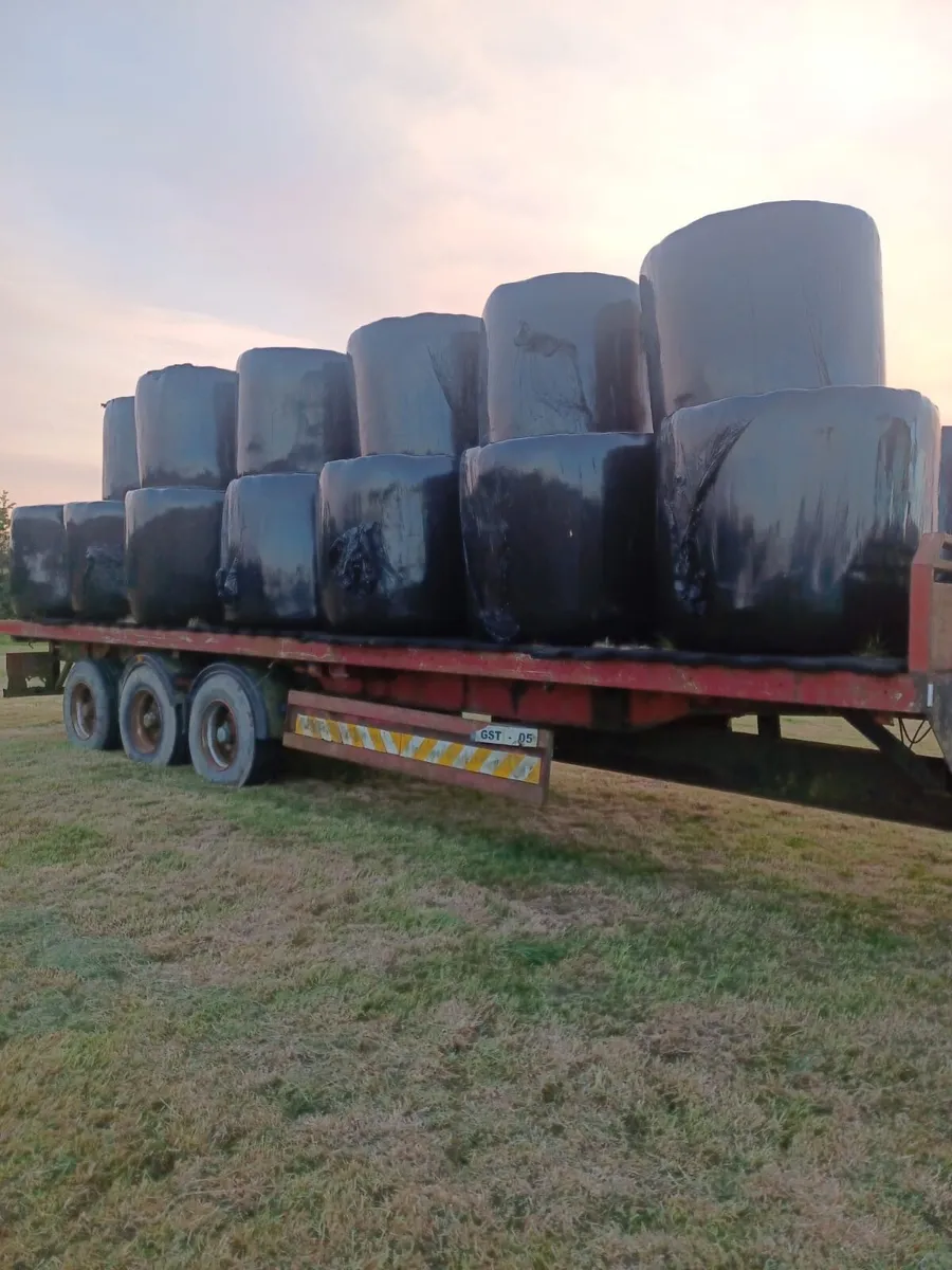 Bale trailer - Image 1