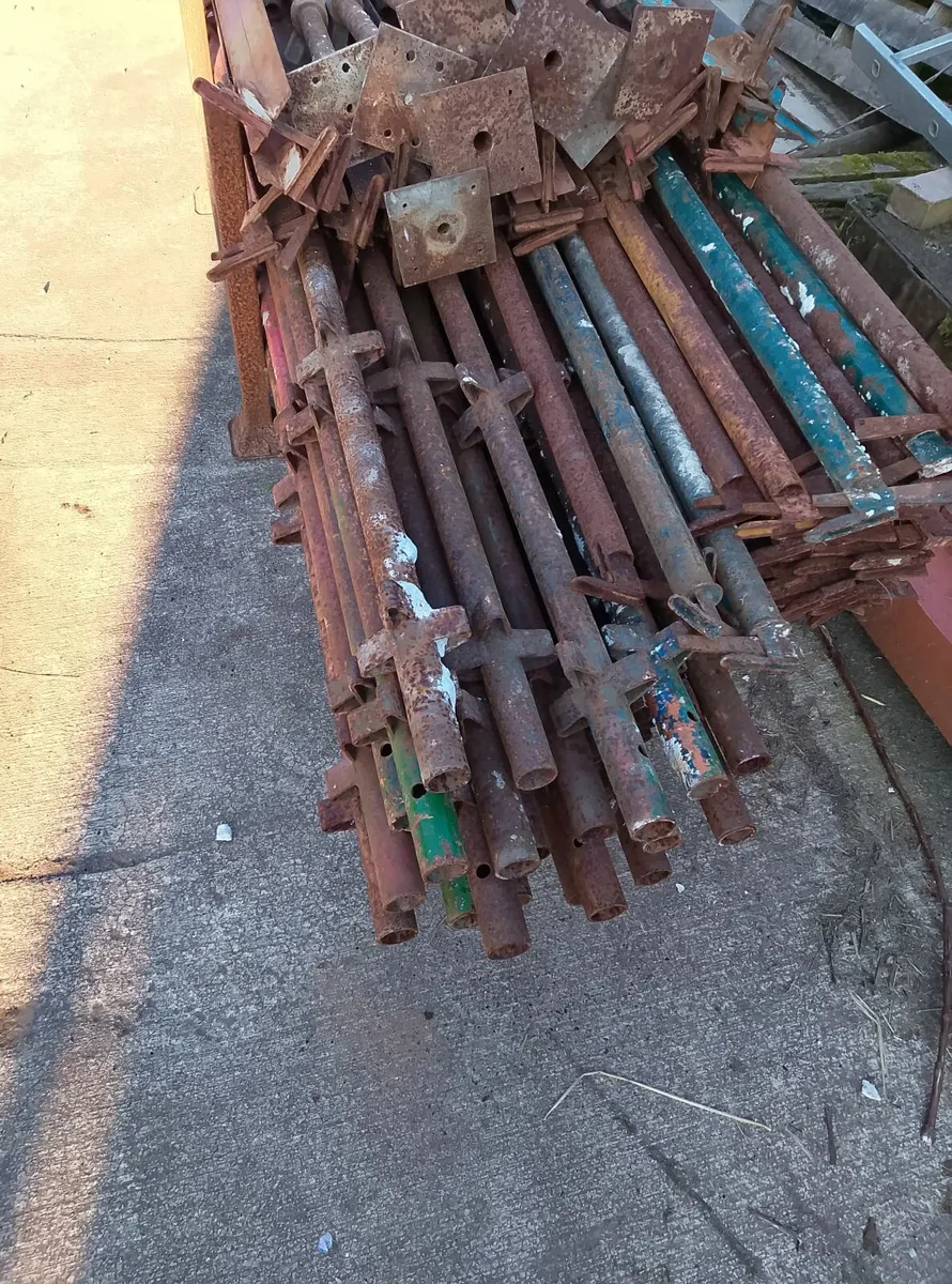 Scaffold - Image 2