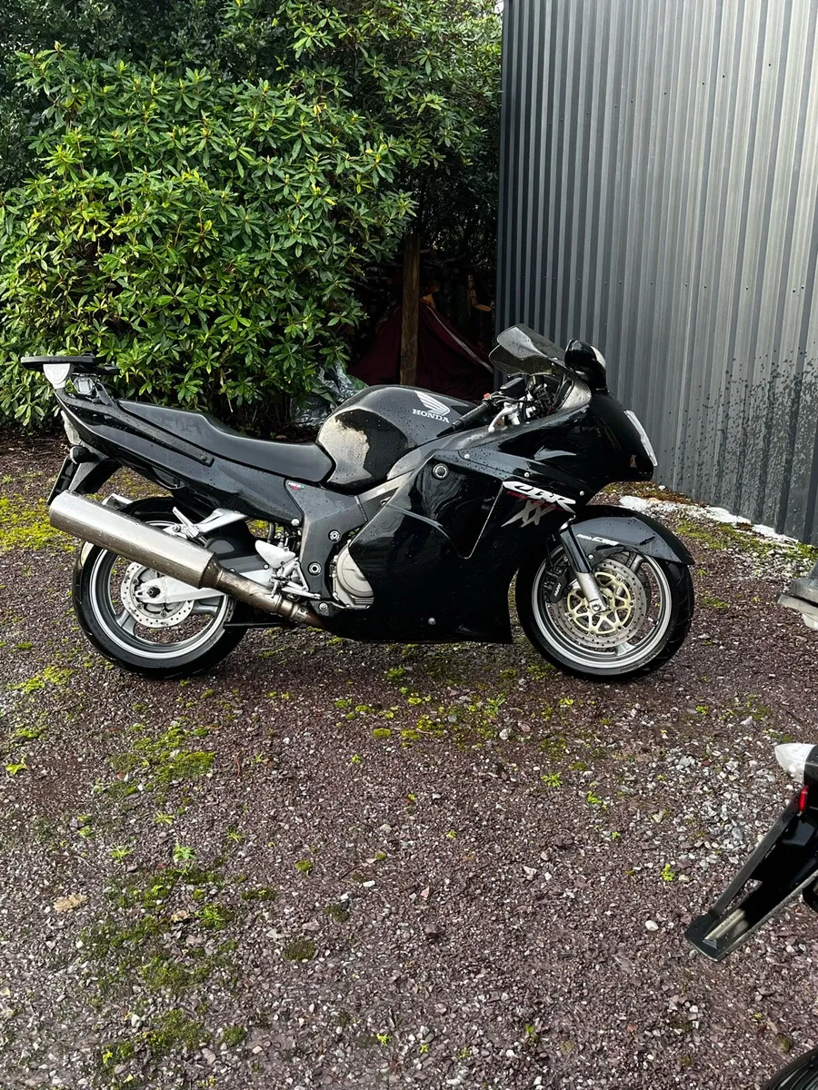Honda CBR 1100 BLACKBIRD - Image 4