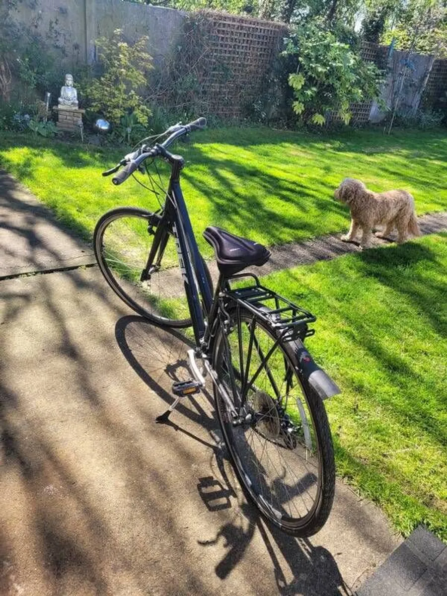 Womens Trek Bike - Image 3