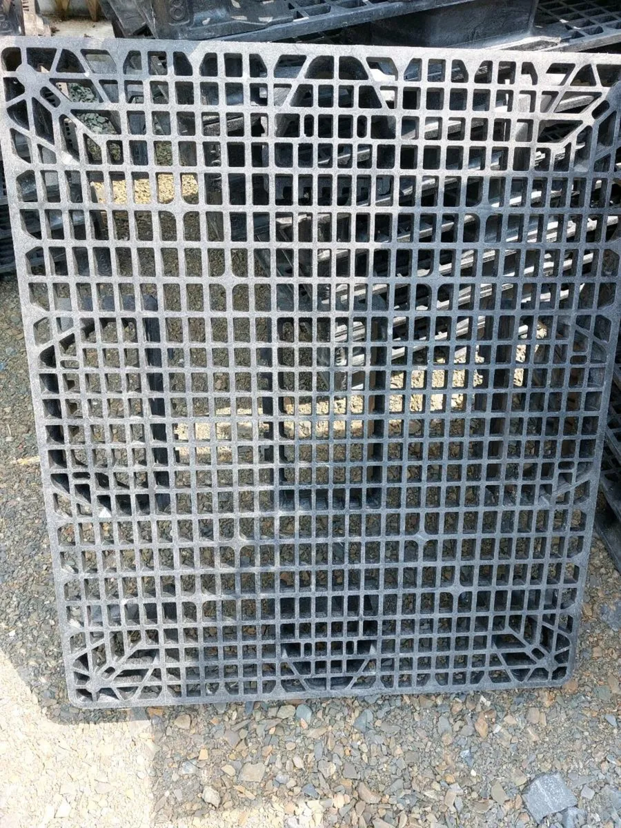 Calf slats - Image 1