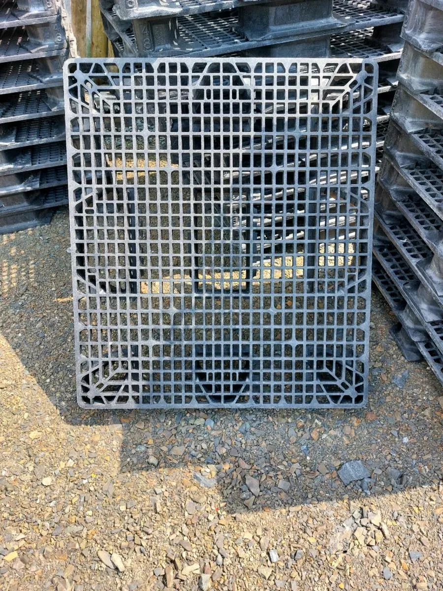 Calf slats - Image 2