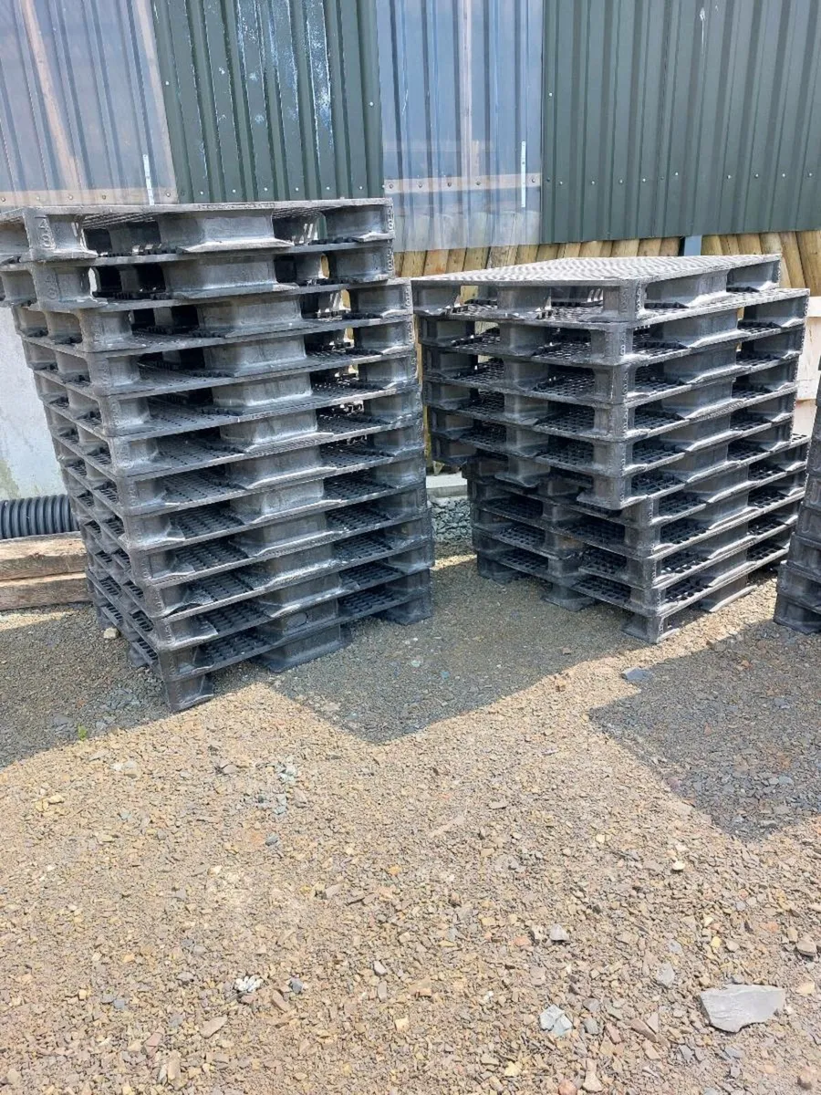 Calf slats - Image 3
