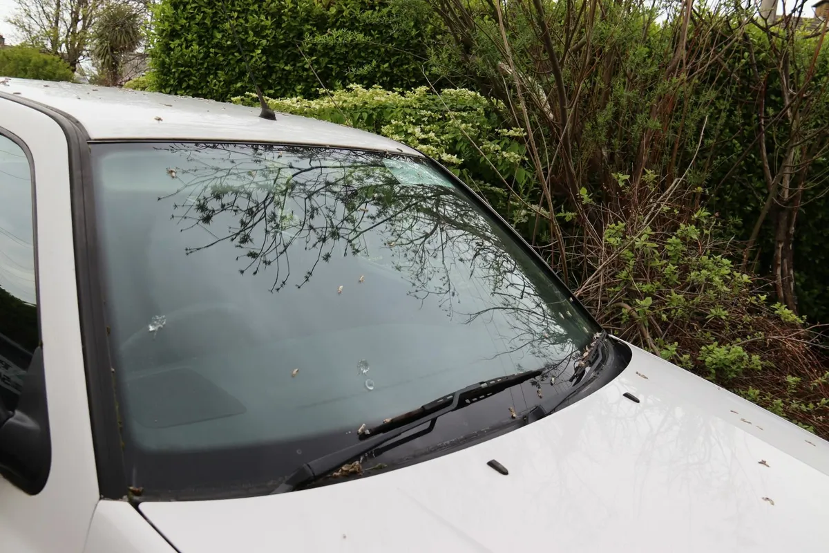 Volkswagen Golf 1996 - Image 4