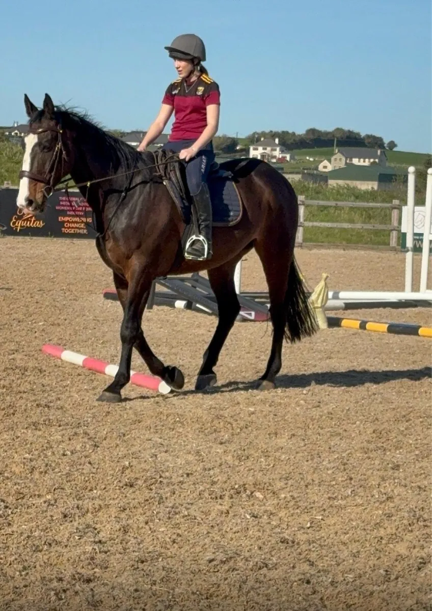 Horse - Image 1