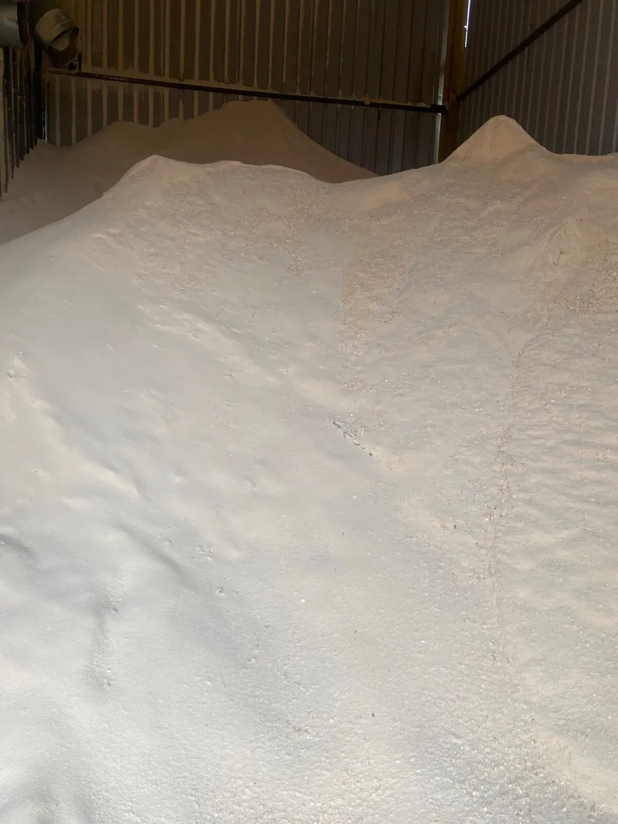 Large stock of Woodchip / sawdust - Image 3